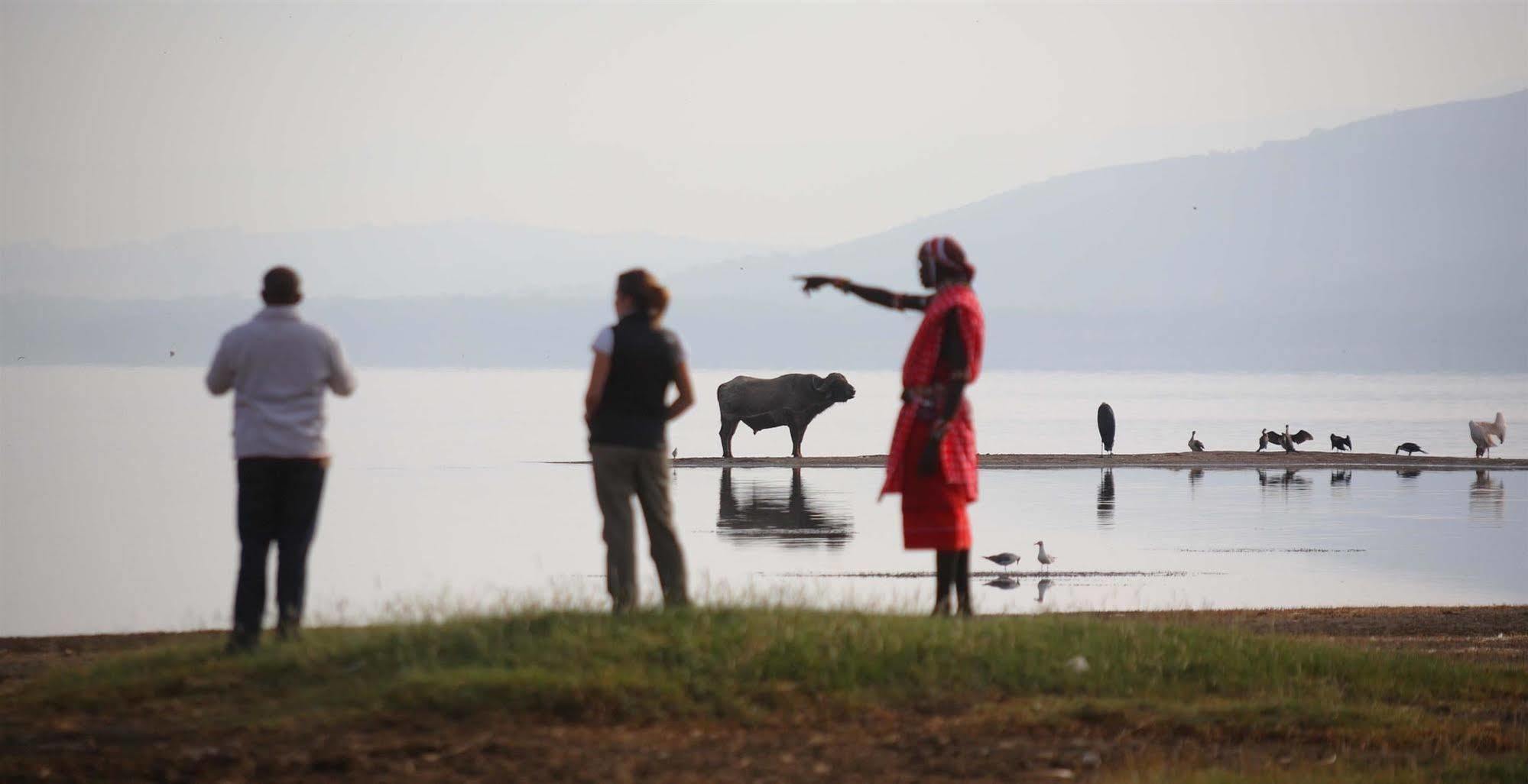 Sarova Lion Hill Game Lodge Nakuru Luaran gambar